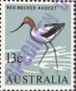 Click here for product details