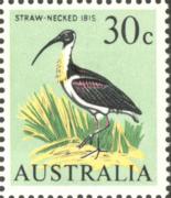 Click here for product details