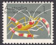 Click here for product details