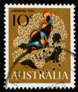 Click here for product details