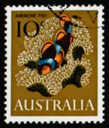 Click here for product details