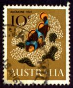 Click here for product details