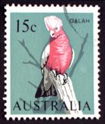 Click here for product details