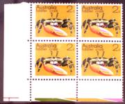 Click here for product details