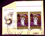 Click here for product details