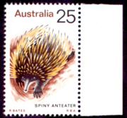 Click here for product details