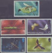 Click here for product details