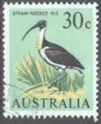 Click here for product details