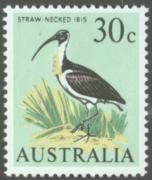 Click here for product details