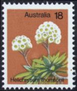 Click here for product details