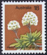 Click here for product details