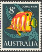 Click here for product details