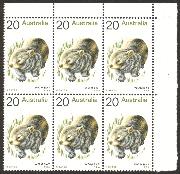 Click here for product details