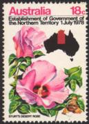 Click here for product details