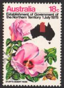 Click here for product details