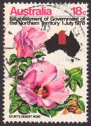 Click here for product details