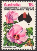 Click here for product details