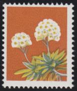 Click here for product details