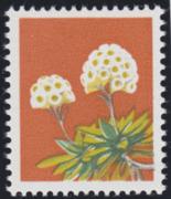 Click here for product details