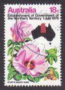 Click here for product details